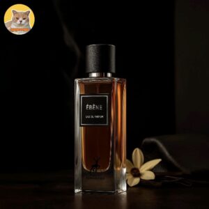 ایو سن لورن بیبی کت الحمبرا